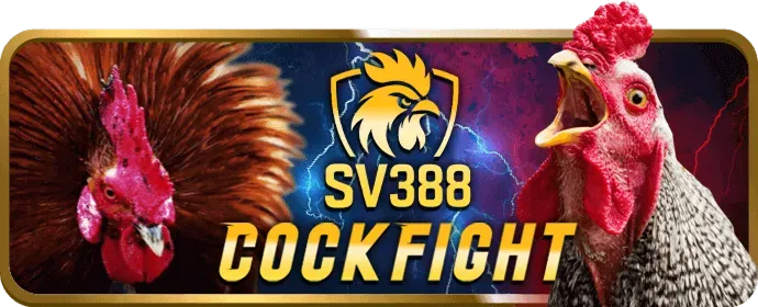 Cá cược tennis F186